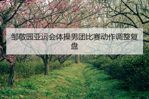 邹敬园亚运会体操男团比赛动作调整复盘